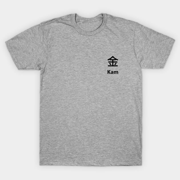 Chinese Surname Kam 金 T-Shirt by MMDiscover